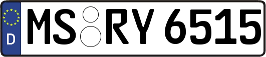 MS-RY6515