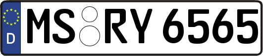 MS-RY6565