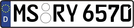MS-RY6570