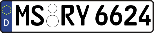 MS-RY6624