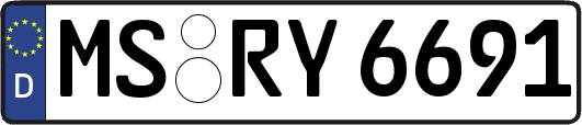 MS-RY6691