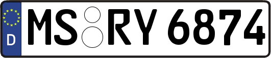 MS-RY6874