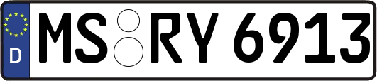 MS-RY6913
