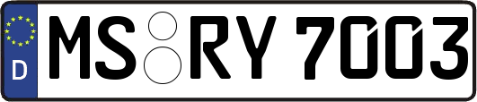 MS-RY7003