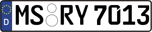 MS-RY7013