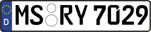 MS-RY7029
