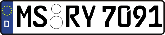 MS-RY7091