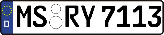 MS-RY7113