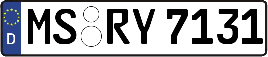 MS-RY7131