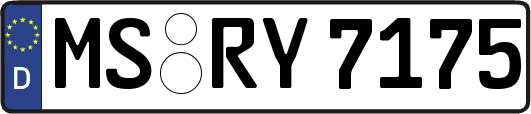 MS-RY7175