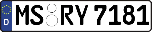 MS-RY7181