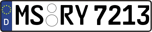 MS-RY7213