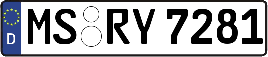 MS-RY7281