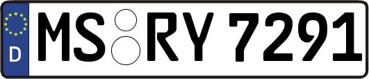 MS-RY7291