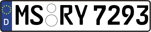 MS-RY7293