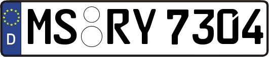 MS-RY7304