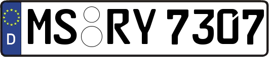 MS-RY7307