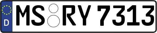 MS-RY7313