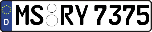 MS-RY7375
