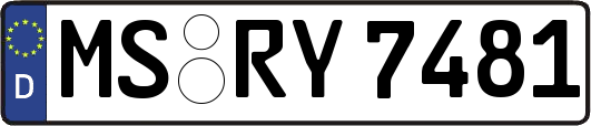 MS-RY7481