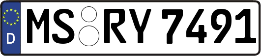 MS-RY7491