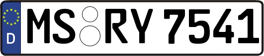 MS-RY7541
