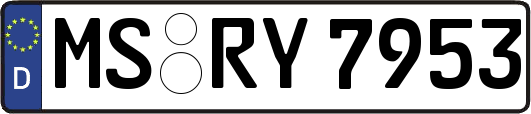 MS-RY7953