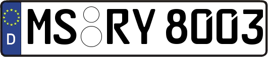 MS-RY8003