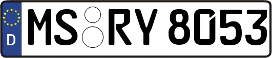 MS-RY8053