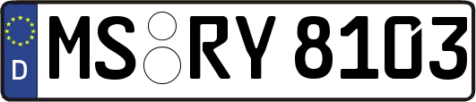 MS-RY8103