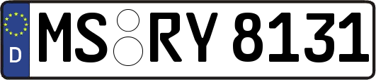 MS-RY8131
