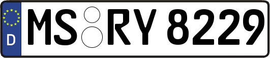 MS-RY8229