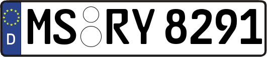 MS-RY8291