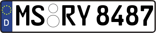MS-RY8487