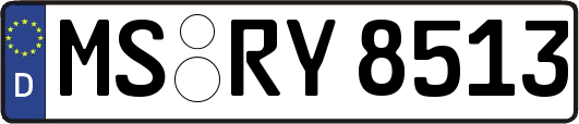 MS-RY8513