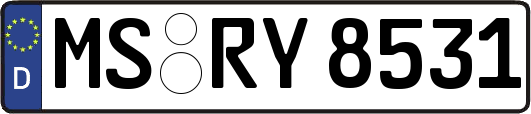 MS-RY8531