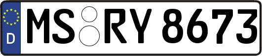 MS-RY8673