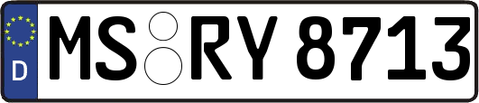 MS-RY8713