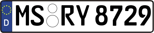 MS-RY8729