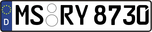 MS-RY8730