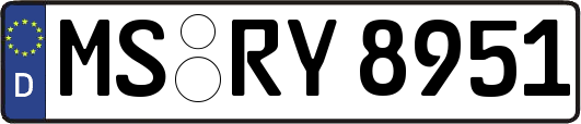 MS-RY8951