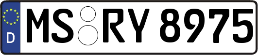 MS-RY8975