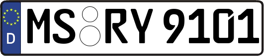 MS-RY9101