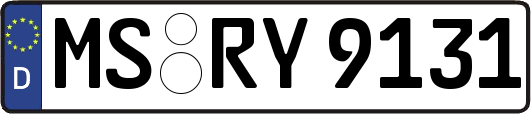 MS-RY9131