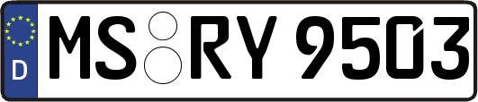 MS-RY9503