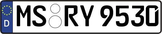MS-RY9530