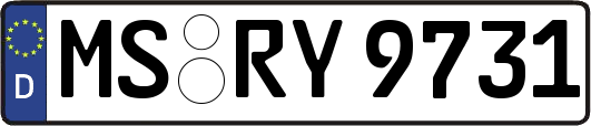 MS-RY9731