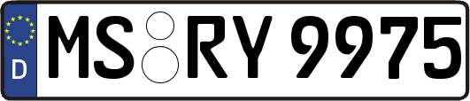 MS-RY9975