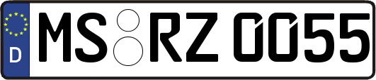 MS-RZ0055