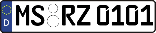 MS-RZ0101
